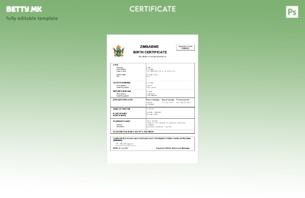 модерен стил Зимбабве витален рекорд извод од матична книга на родени Шаблон за 